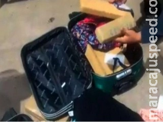 Ônibus de viagem é parado em rodovia e motorista preso com maconha em bagagem Ônibus de viagem é parado em rodovia e motorista preso com maconha em bagagem