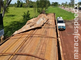 PMA de Bataguassu autua empresa de Mato Grosso em R$ 11 mil por transporte ilegal de madeira PMA de Bataguassu autua empresa de Mato Grosso em R$ 11 mil por transporte ilegal de madeira