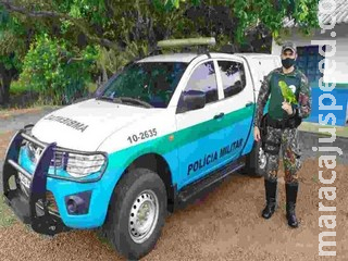 Polícia captura papagaio domesticado em árvore no pátio de escola