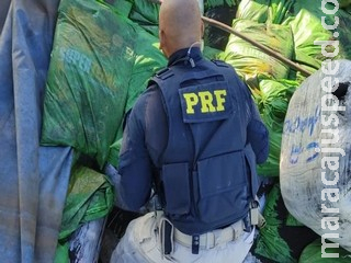 PRF apreende carreta com 20 de toneladas de contrabando PRF apreende carreta com 20 de toneladas de contrabando