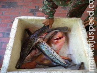 Três são presos com redes em pesca ilegal durante piracema Três são presos com redes em pesca ilegal durante piracema