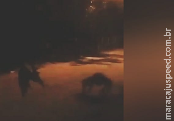 Câmeras flagram suposto lobisomem andando em rua próximo a universidade Câmeras flagram suposto lobisomem andando em rua próximo a universidade