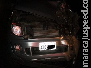 Caminhonete colide contra equinos na BR-376 Caminhonete colide contra equinos na BR-376