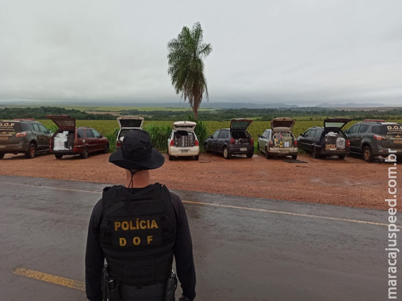 Comboio de veículos com produtos ilegais avaliados em mais de 600 mil reais foram apreendidos pelo DOF durante a Operação Hórus Comboio de veículos com produtos ilegais avaliados em mais de 600 mil reais foram apreendidos pelo DOF durante a Operação Hórus
