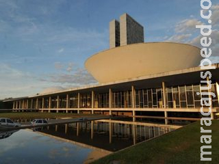 Coordenadora da bancada feminina destaca prioridades de votação no mês da mulher