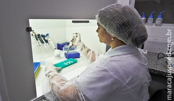 Estudo indica que coronavírus já circulava no Brasil um mês antes de ser detectado na China Estudo indica que coronavírus já circulava no Brasil um mês antes de ser detectado na China