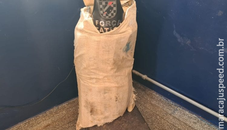 Força Tática localiza e apreende fardo com 44 kg de maconha