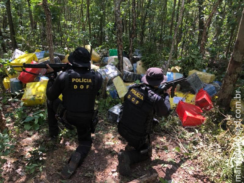 Mais de quatro toneladas de maconha foram apreendidas pelo DOF em uma mata durante a Operação Hórus