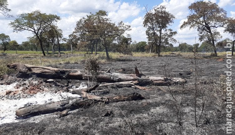PMA multa fazendeiro em R$ 19,5 mil por incêndio em vegetação no município de Anastácio