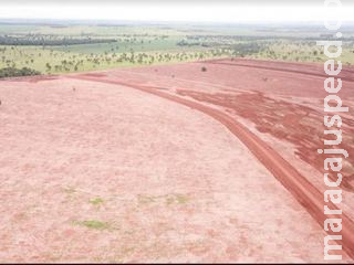 Proprietárias são multadas por desmatamento ilegal em fazenda Proprietárias são multadas por desmatamento ilegal em fazenda