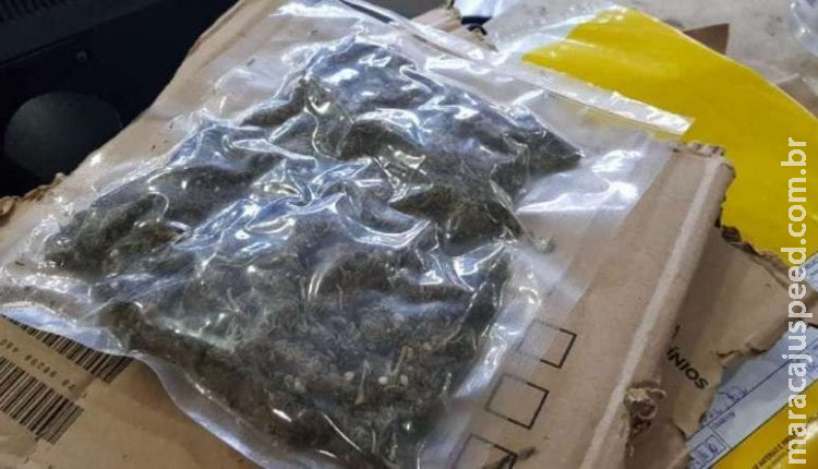 Rapaz cria grupo pelo WhatsApp para venda de maconha na internet e é preso ao receber encomenda pelos Correios Rapaz cria grupo pelo WhatsApp para venda de maconha na internet e é preso ao receber encomenda pelos Correios