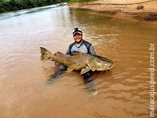 A semana é do peixe gigante: jaú de 1,70m sai do Rio Taquari A semana é do peixe gigante: jaú de 1,70m sai do Rio Taquari