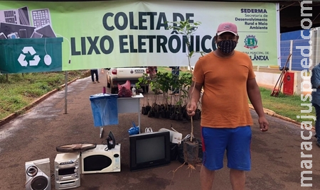 Ação ambiental: Sederma realizou coleta de lixo eletrônico e faz doação de mudas Ação ambiental: Sederma realizou coleta de lixo eletrônico e faz doação de mudas