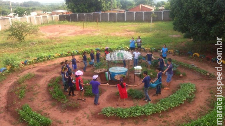 Alunos de escola municipal de Campo Grande estudam árvore e projeto é destaque em revista científica Alunos de escola municipal de Campo Grande estudam árvore e projeto é destaque em revista científica