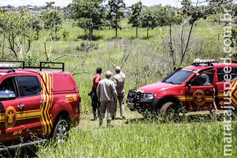 Carro cai em ribanceira e dois são socorridos presos às ferragens na MS-080 Carro cai em ribanceira e dois são socorridos presos às ferragens na MS-080