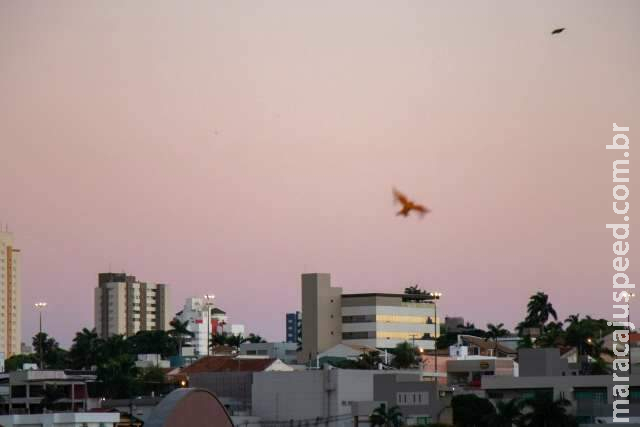Céu claro e tempo estável predominam nesta quinta-feira Céu claro e tempo estável predominam nesta quinta-feira