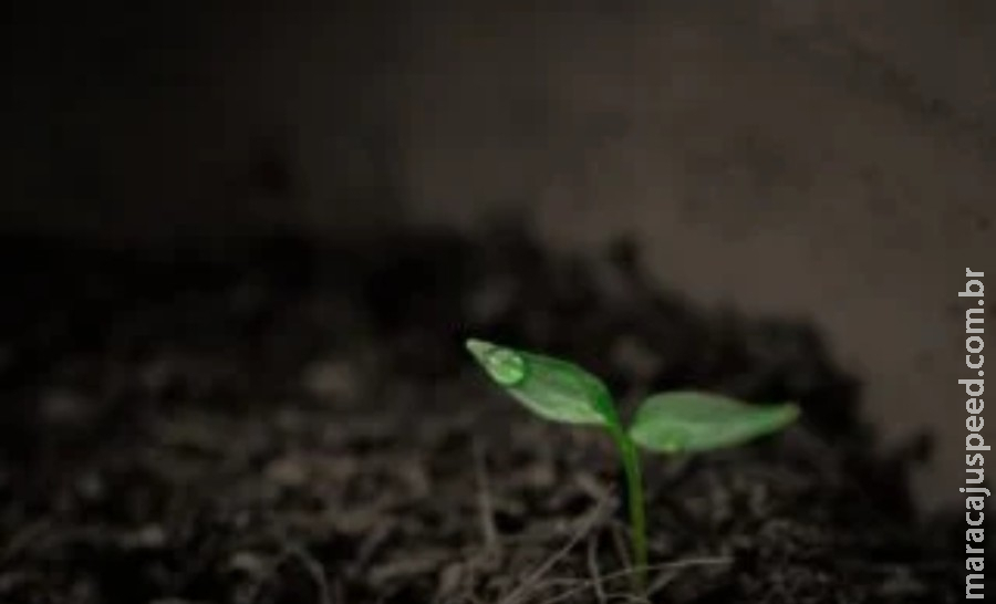 Chuvas em maio: veja como o La Niña vai influenciar os volumes no próximo mês Chuvas em maio: veja como o La Niña vai influenciar os volumes no próximo mês