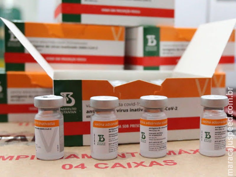 Doses de vacina desaparecem e prefeitura abre processo administrativo para apurar Doses de vacina desaparecem e prefeitura abre processo administrativo para apurar
