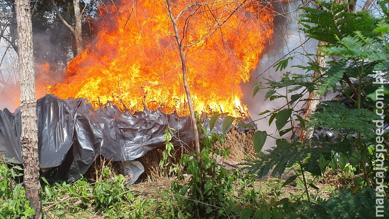 Em 7 anos, ações entre Brasil e Paraguai já causaram prejuízos de mais de 1 bi de dólares ao narcotráfico