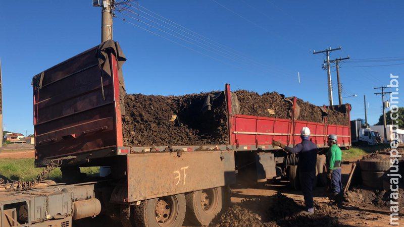Em carga de pneus triturados, PF apreende mais de 400 quilos de maconha na fronteira
