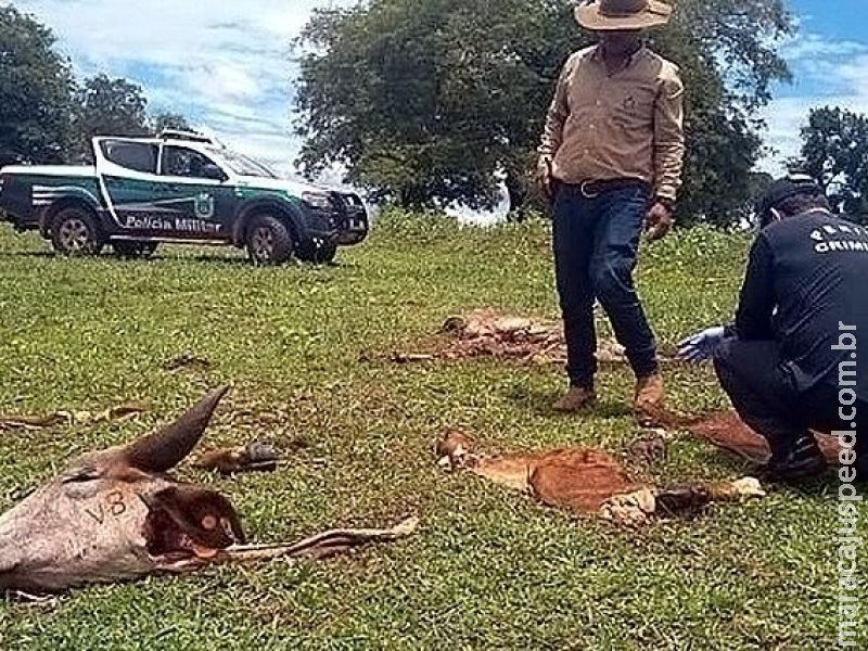 Governo cria delegacia de combate a crimes rurais e abigeato Governo cria delegacia de combate a crimes rurais e abigeato