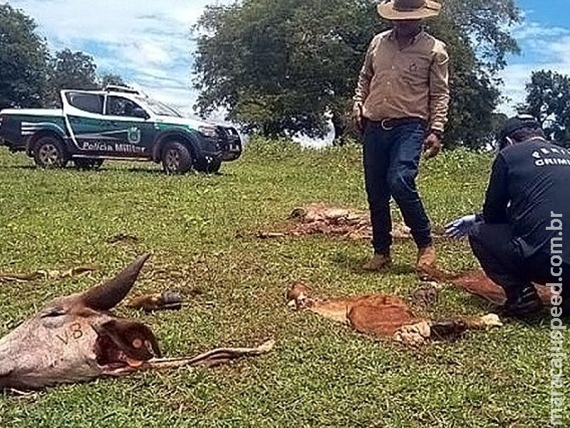 Governo cria delegacia de combate a crimes rurais e abigeato, medida comemorada pelos produtores Governo cria delegacia de combate a crimes rurais e abigeato, medida comemorada pelos produtores