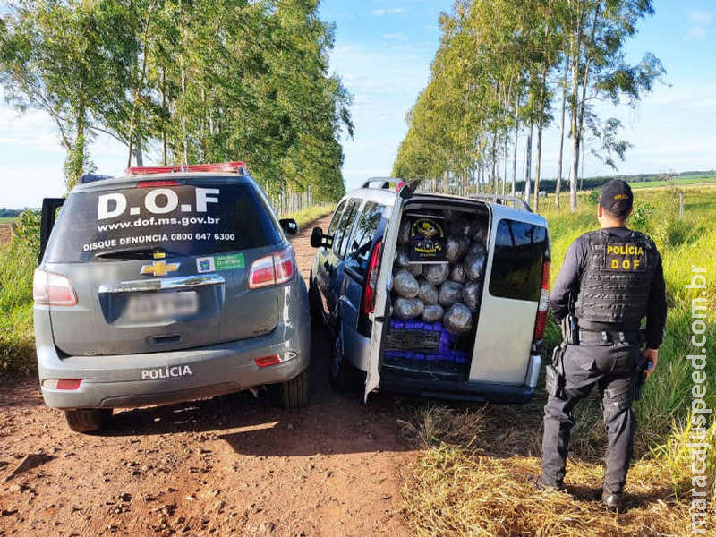 Homem abandona carro com 1,5 t de droga, mas é preso pelo DOF 