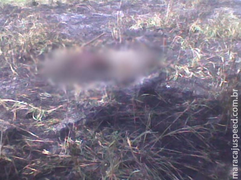 Homem de 31 anos morre queimado ao tentar apagar fogo em fazenda de MS Homem de 31 anos morre queimado ao tentar apagar fogo em fazenda de MS