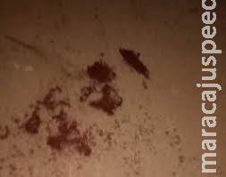 Homem é assassinado a facadas no Jardim Noroeste Homem é assassinado a facadas no Jardim Noroeste