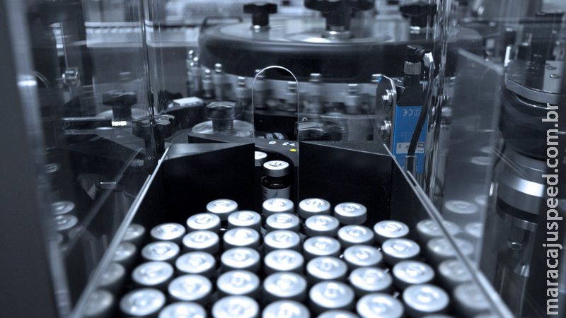 Laboratórios veterinários devem começar a produzir vacinas contra covid-19