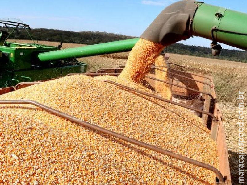 Mato Grosso do Sul colhe 13 milhões de toneladas de soja e bate recorde de produção Mato Grosso do Sul colhe 13 milhões de toneladas de soja e bate recorde de produção