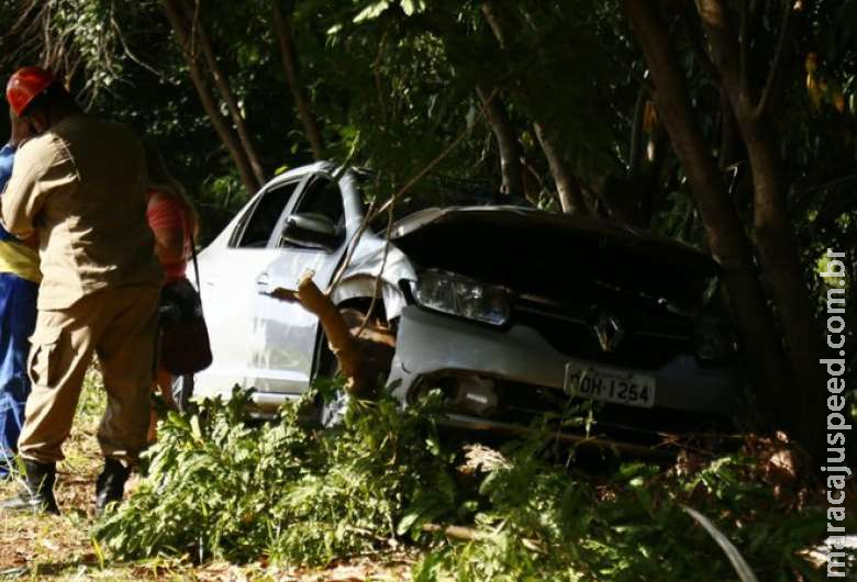 Motorista tenta desviar de cão, bate em árvore e carro fica 