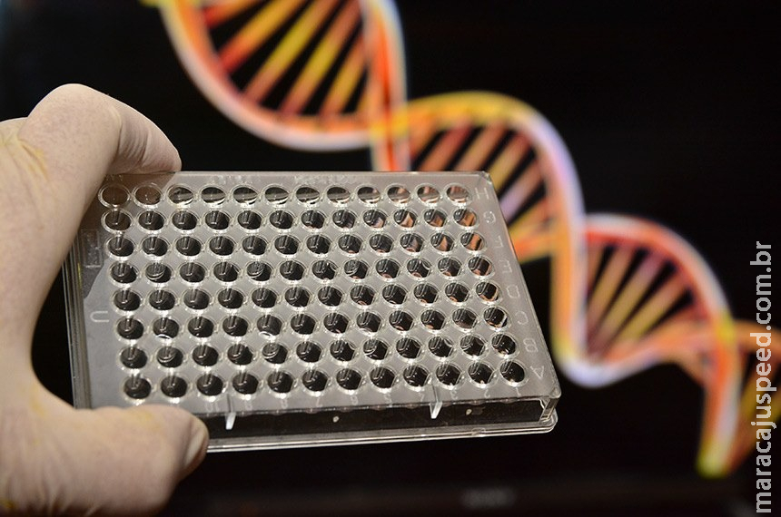 Nova lei autoriza teste de DNA em parentes para confirmar paternidade Nova lei autoriza teste de DNA em parentes para confirmar paternidade