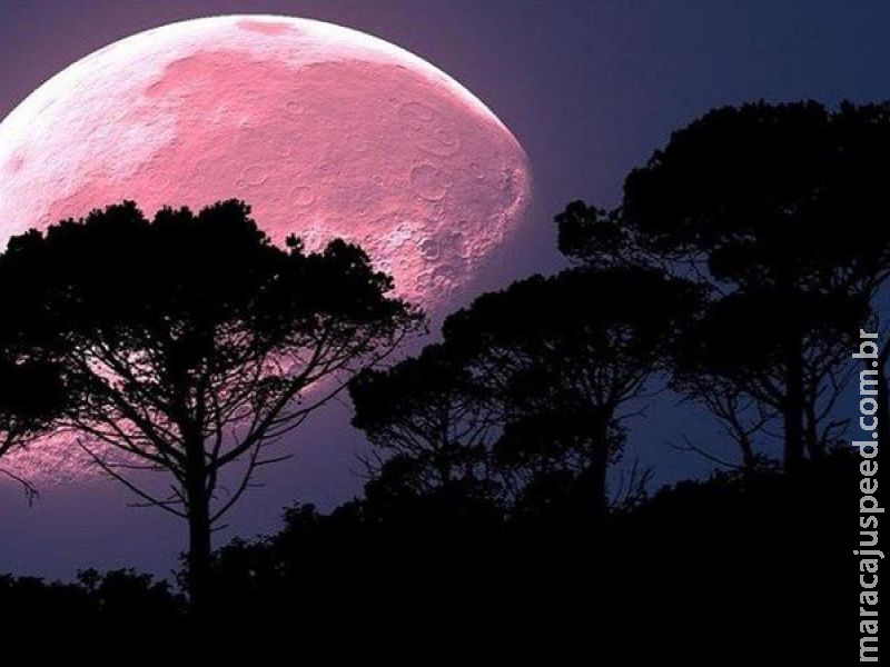 Olhe para o céu: fenômeno da Lua Rosa acontece na noite desta segunda Olhe para o céu: fenômeno da Lua Rosa acontece na noite desta segunda