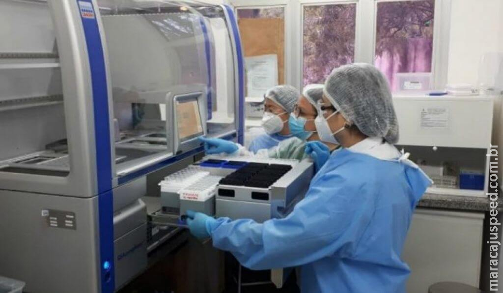 Pandemia atrapalhou até investigação sobre morte por suspeita de dengue Pandemia atrapalhou até investigação sobre morte por suspeita de dengue