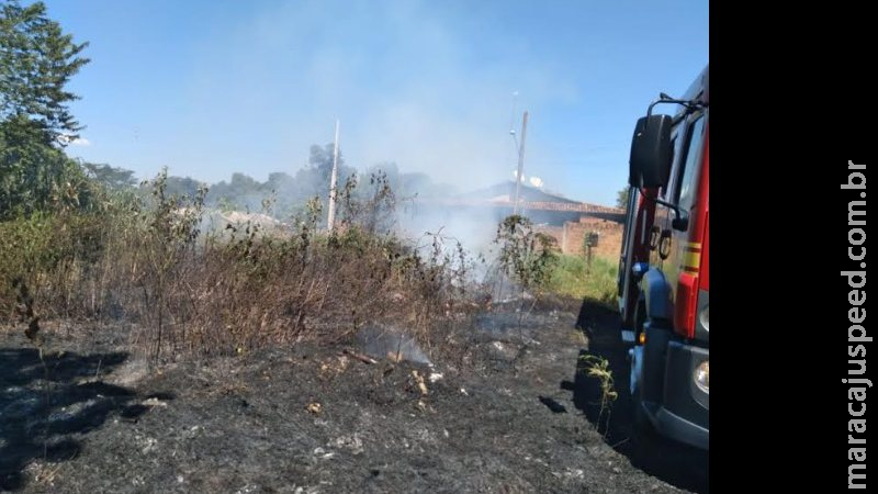 PMA autua 14º infrator por incêndio em 23 dias durante operação PMA autua 14º infrator por incêndio em 23 dias durante operação