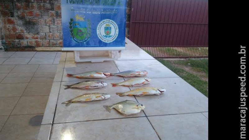 PMA autua homem com pescado acima da cota permitida e apreende pescado e veículo PMA autua homem com pescado acima da cota permitida e apreende pescado e veículo
