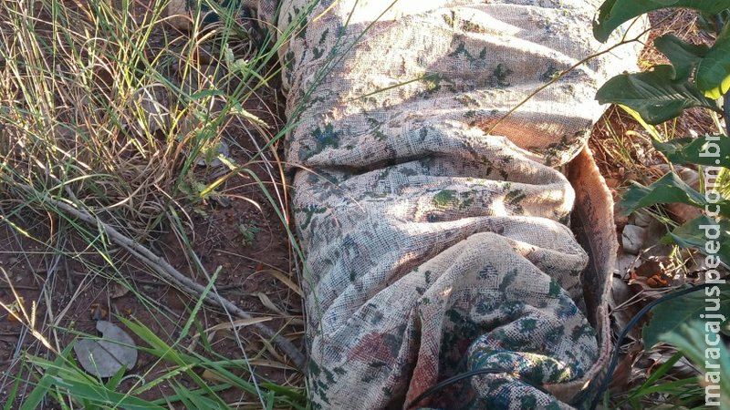 Polícia suspeita que corpo achado em Três Lagoas seja de executado com tiro na cabeça em Sidrolândia