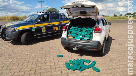 PRF apreende 246 Kg de maconha em Camapuã (MS) PRF apreende 246 Kg de maconha em Camapuã (MS)