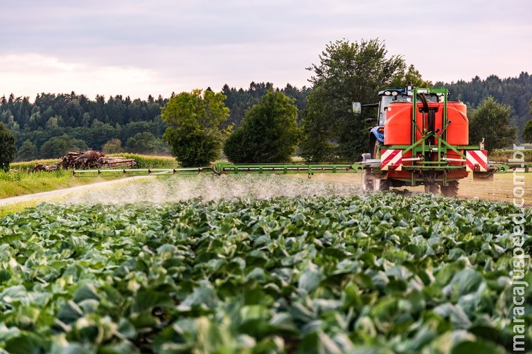 Registrados 39 defensivos agrícolas genéricos