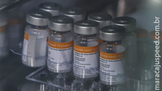 Saúde anuncia mais 104 mil doses da Coronavac para 2ª aplicação Saúde anuncia mais 104 mil doses da Coronavac para 2ª aplicação