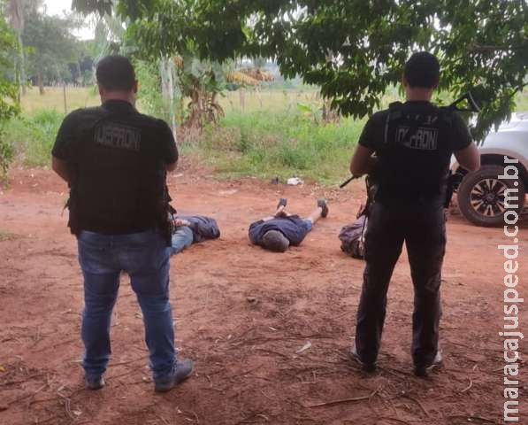Três traficantes são presos em entreposto de maconha na fronteira Três traficantes são presos em entreposto de maconha na fronteira