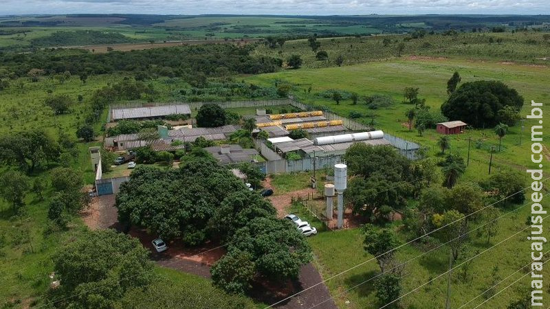 Adolescentes fogem da Unei durante limpeza de unidade em Campo Grande Adolescentes fogem da Unei durante limpeza de unidade em Campo Grande