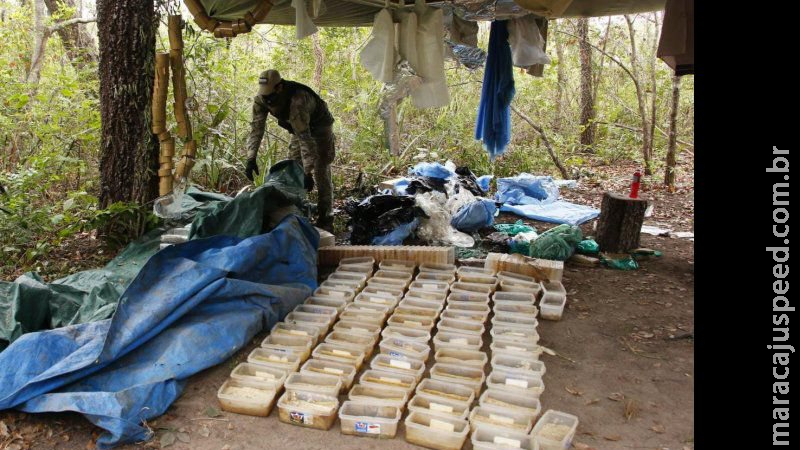 Agentes localizam laboratório de processamento de cocaína na região de fronteira Agentes localizam laboratório de processamento de cocaína na região de fronteira