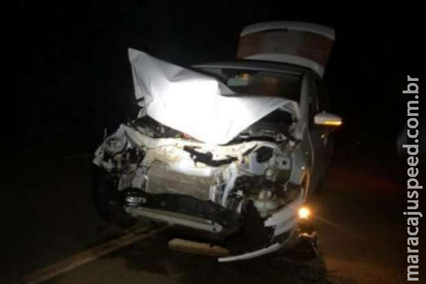 Anta provoca acidente e deixa carro com a frente destruída em MS