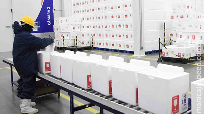 Anvisa autoriza vacina da Pfizer entre 2ºC e 8ºC por até 31 dias Anvisa autoriza vacina da Pfizer entre 2ºC e 8ºC por até 31 dias