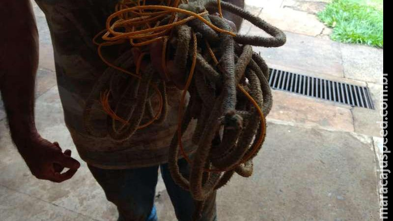 Ao abrir portão, rapaz é agredido com coronhadas e amarrado por bandidos que fazem ‘limpa’ em casa Ao abrir portão, rapaz é agredido com coronhadas e amarrado por bandidos que fazem ‘limpa’ em casa