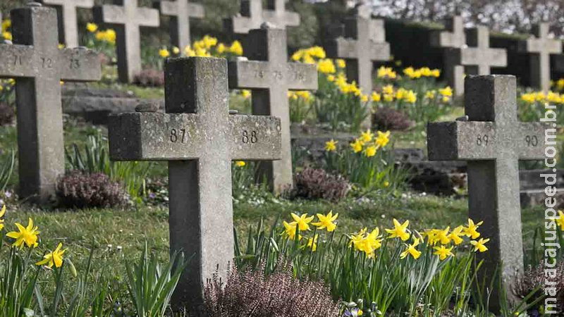Brasil chega a 422 mil mortes e SP passa 3 milhões de casos por covid-19 Brasil chega a 422 mil mortes e SP passa 3 milhões de casos por covid-19