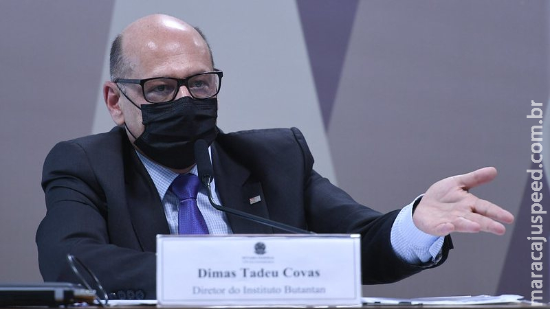 Brasil poderia ter sido primeiro do mundo a vacinar, afirma Dimas Covas à CPI Brasil poderia ter sido primeiro do mundo a vacinar, afirma Dimas Covas à CPI