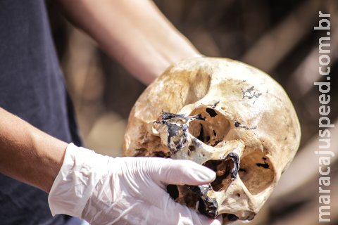 Com 224 desaparecidos em MS, exame de DNA e laudo pericial devem identificar crânio